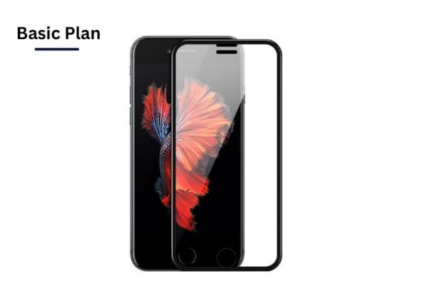 Basic Plan